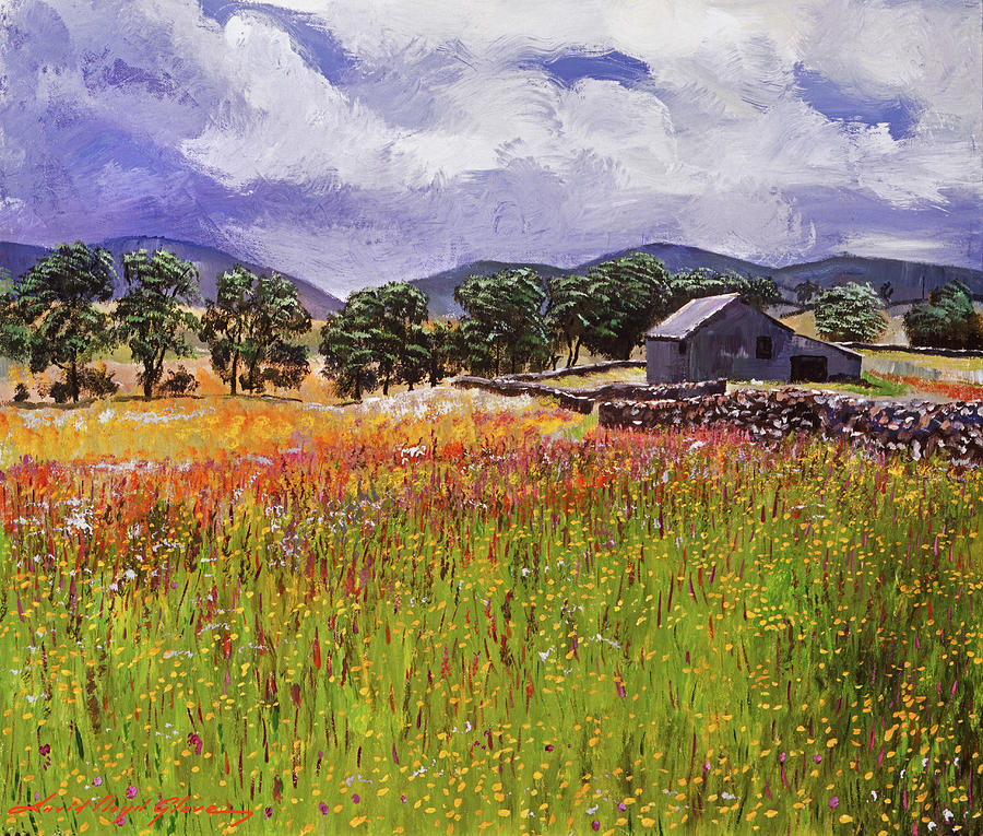 Farm Painting - Wildflower Meadows by David Lloyd Glover
