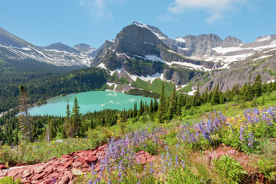 Wildflowers above Grinnell Lake Photograph by Jack Bell