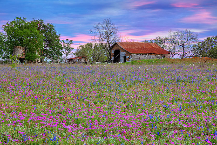 Wildflowers and an Old Barn 3292 Photograph by Rob Greebon