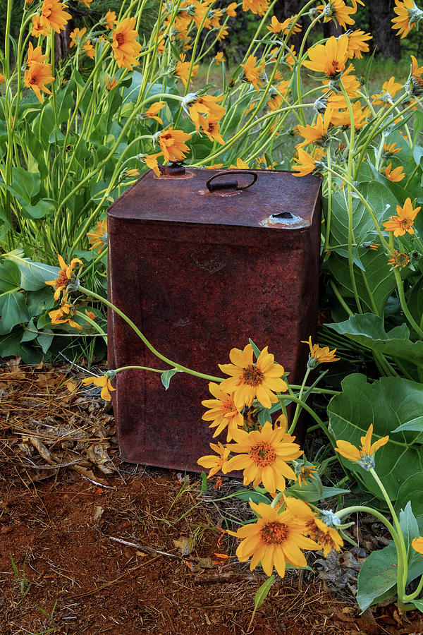 Wildflowers And An Old Oil Can Photograph by James Eddy