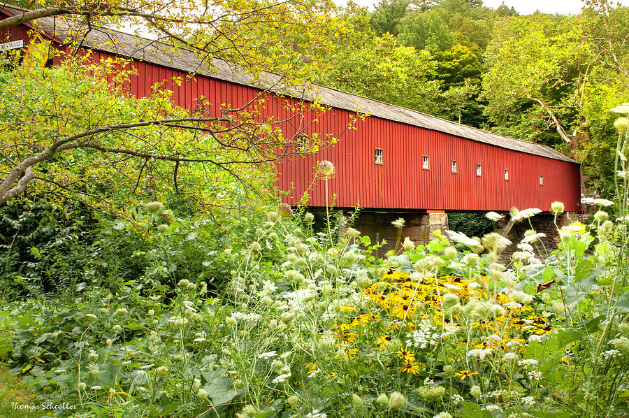 Wildflowers at the Covered Bridge Photograph by TS Photo