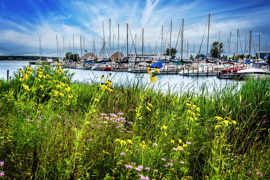 Wildflowers at the Harbor Photograph by Debra and Dave Vanderlaan