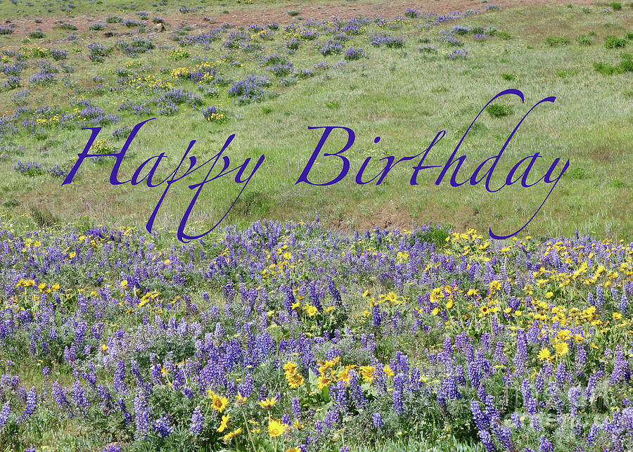 Wildflowers Birthday Card Photograph by Carol Groenen
