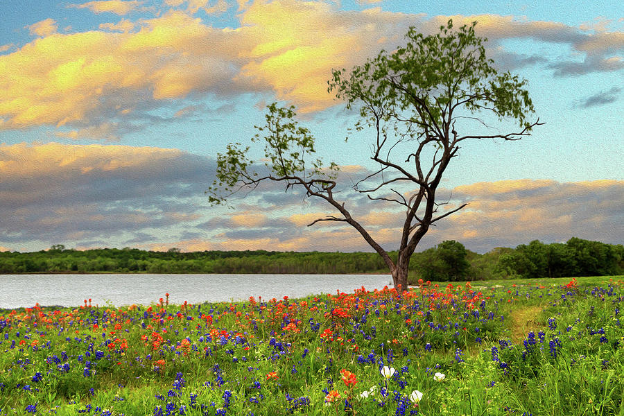 Wildflowers By The Lake Digital Art by James Eddy
