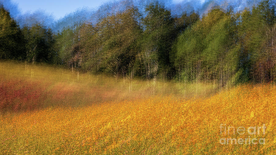 Claude Monet Photograph - Wildflowers by Doug Sturgess
