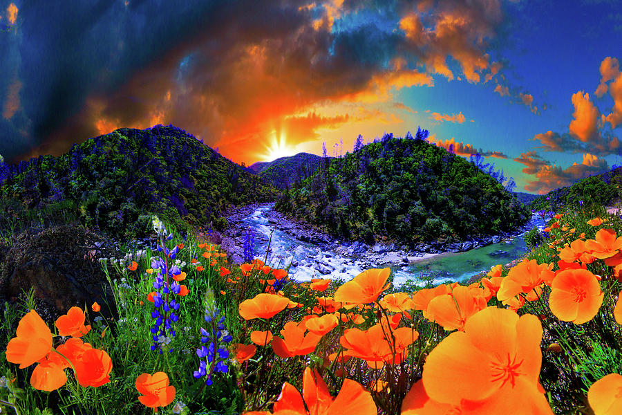 Wildflowers Mountain Forest River Sunset Photograph by Eszra Tanner