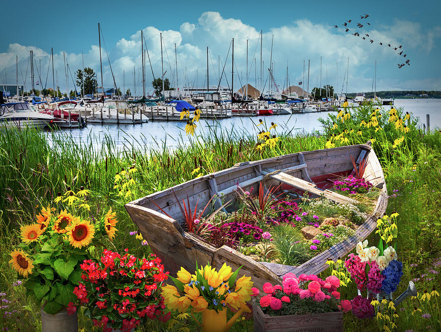 Wildflowers Rowboat in the Harbor Photograph by Debra and Dave Vanderlaan