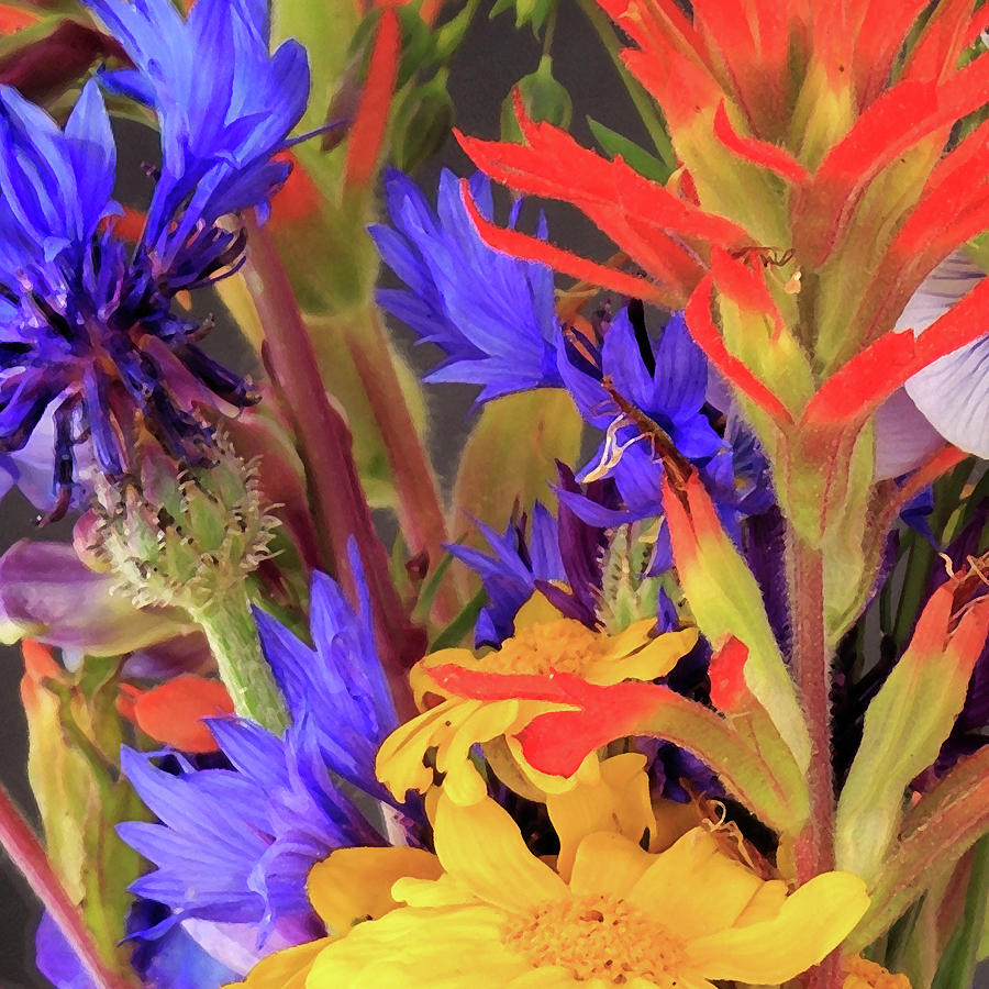 Wildflowers Squared Digital Art
