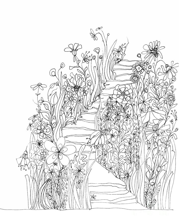 Wildflowers Stairs - Ink Drawing Art Drawing by Patricia Awapara
