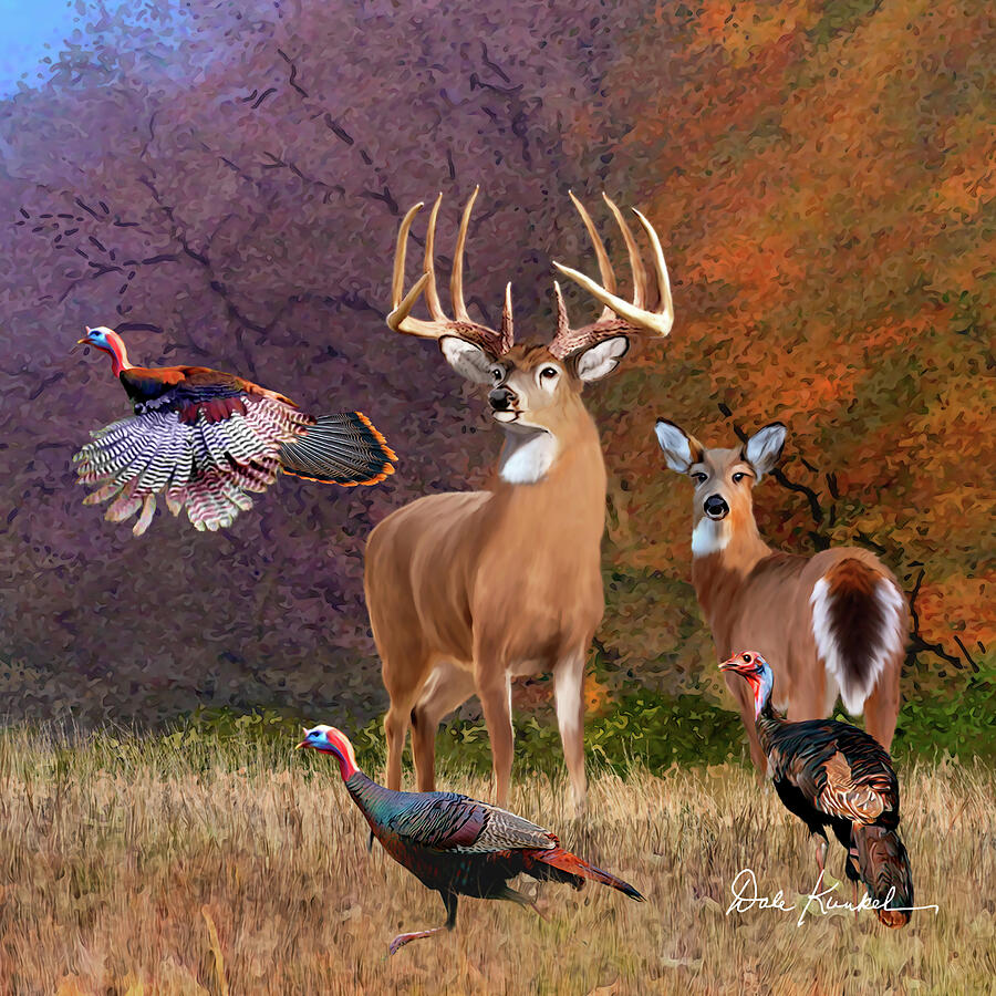 Wildlife Art Squares - Deer and Wild Turkey - American Heartthrob ...