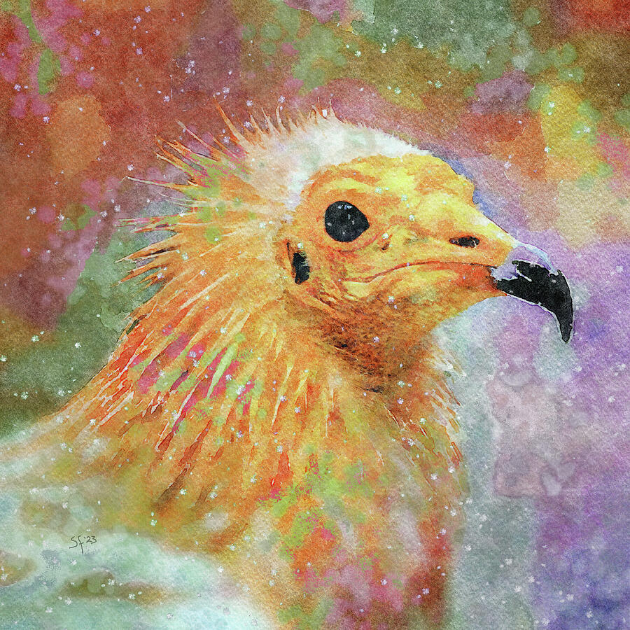 Wildlife-Bird-Vulture-Colorful Watercolor Portrait Mixed Media by Shelli Fitzpatrick