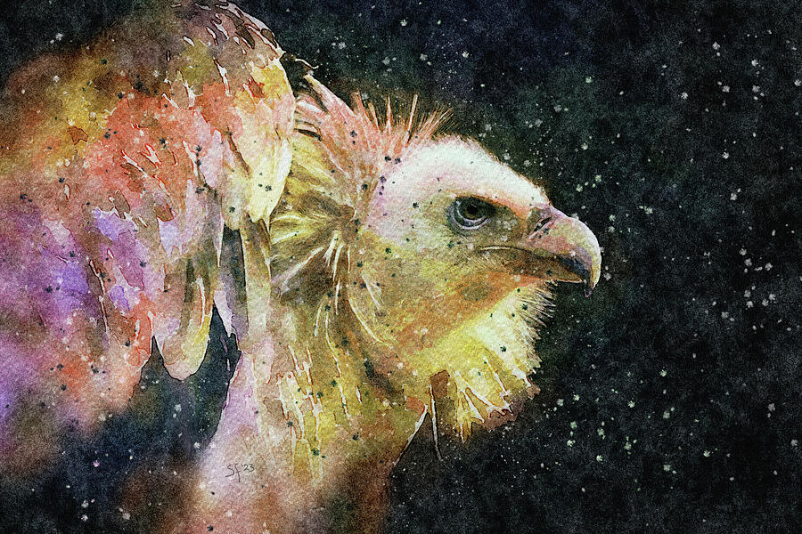 Wildlife-Bird-Vulture Watercolor Portrait  Mixed Media by Shelli Fitzpatrick