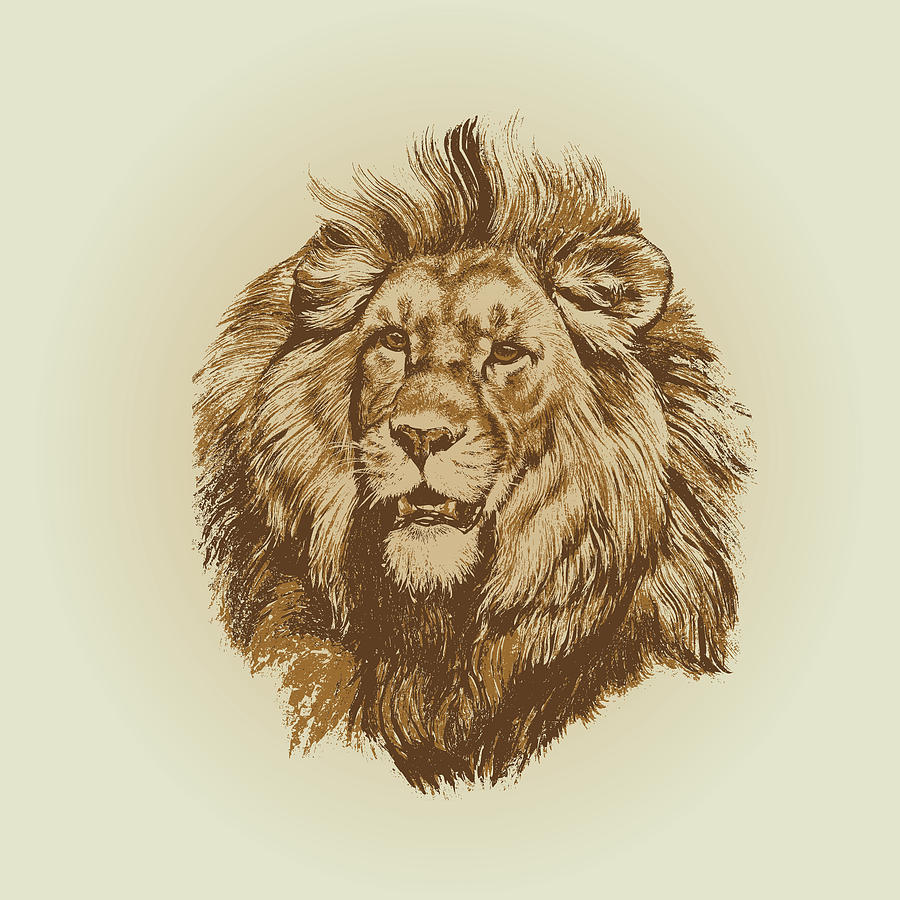 Wildlife Lion King Portrait Hand drawn vintage illustration
