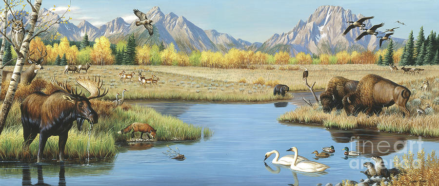 Yellowstone National Park Painting - Wildlife Meadow by Cynthie Fisher
