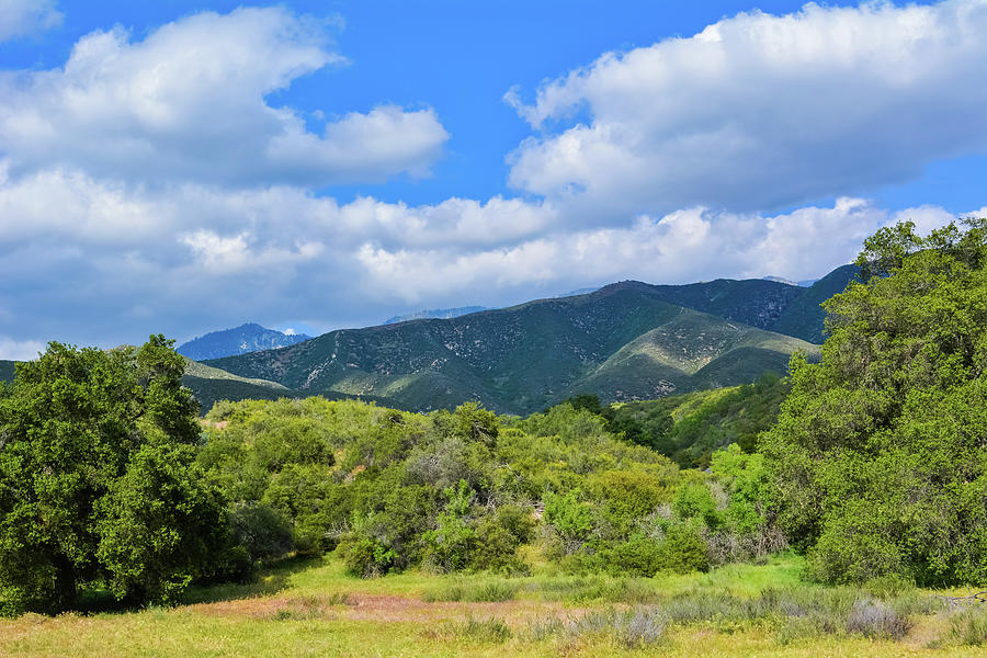 Wildwood Canyon State Park Photograph by Kyle Hanson