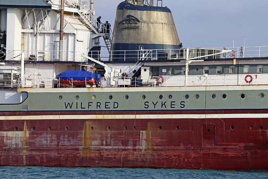 Wilfred Sykes Closeup 2 112519 Photograph by Mary Bedy - Fine Art America