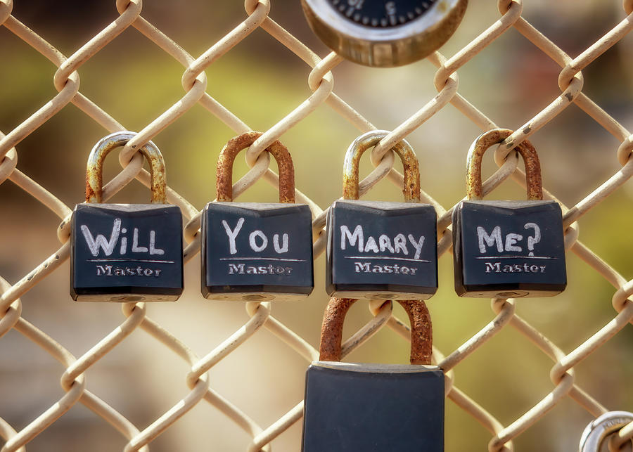 Will You Marry Me? - Love Locks Bridge Photograph by Susan Rissi Tregoning