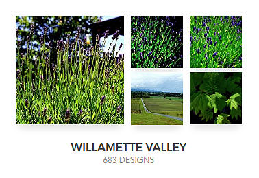 Willamette Valley Collection Photograph by Jerry Sodorff