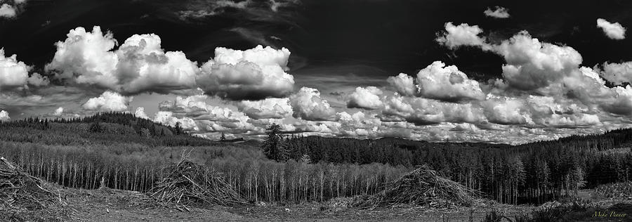 Willapa Hills 5-23-005 Photograph by Mike Penney - Fine Art America