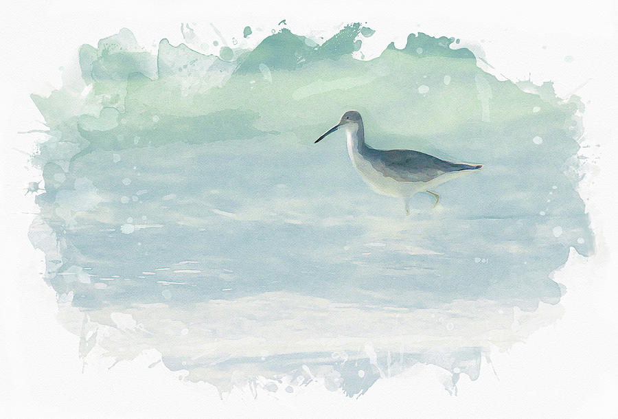 Willet in the Surf - Watercolor Mixed Media by Gordon Ripley