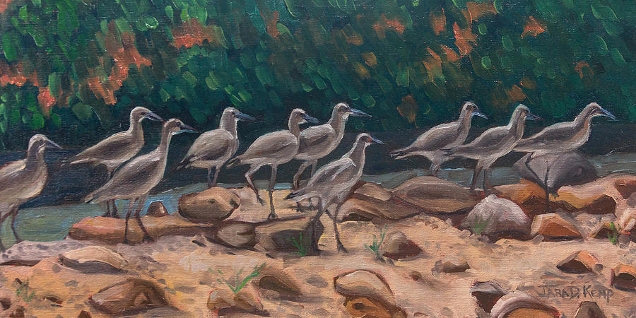 Willets on the Move Painting by Tara D Kemp