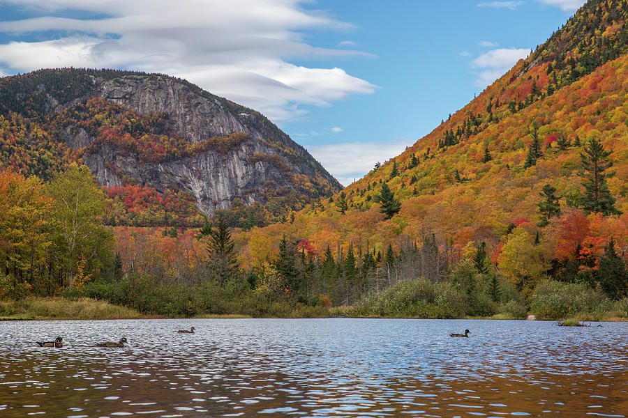 WIlley Pond Autumn Photograph by White Mountain Images