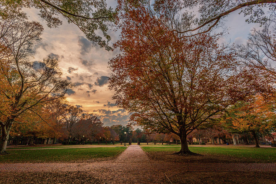 William and Mary Evening in the Fall Photograph by Rachel Morrison