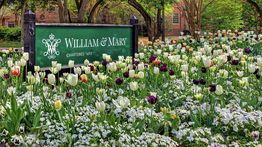William and Mary Sign Photograph by Jerry Gammon
