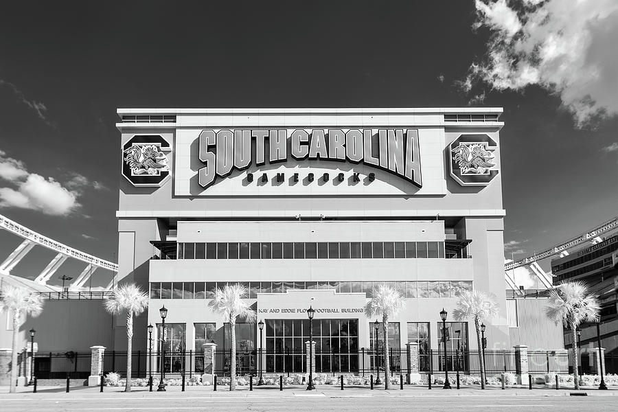 2019 Photograph - Williams - Brice Stadium #1 by Charles Hite