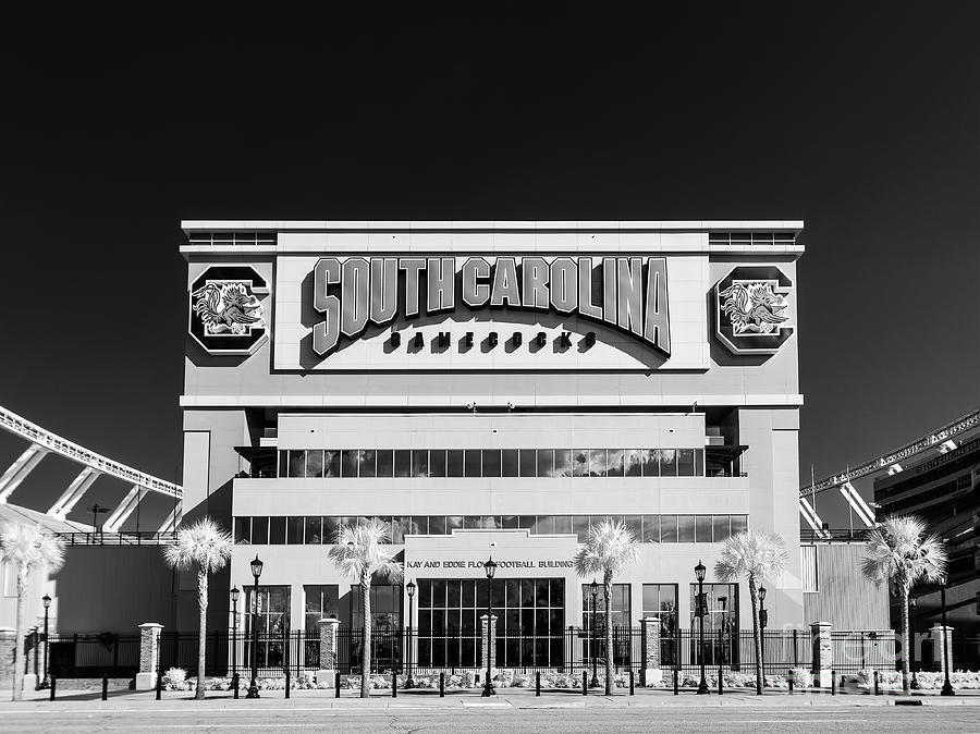 2019 Photograph - Williams - Brice Stadium #11 by Charles Hite