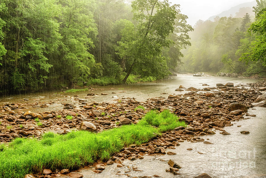 Williams River in a June Rain Photograph by Thomas R Fletcher