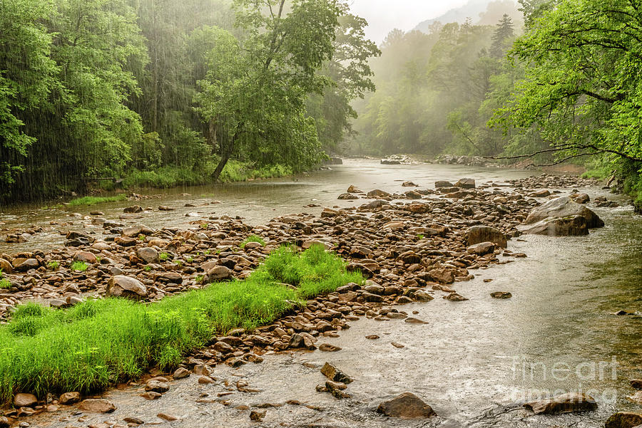 Williams River in a Rain Shower Photograph by Thomas R Fletcher