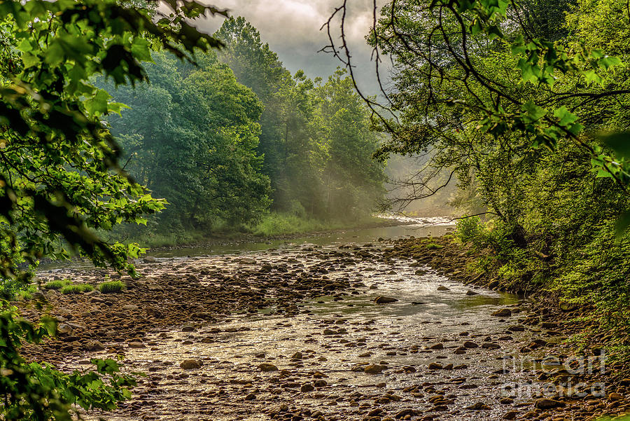 Williams River on a July Morning Photograph by Thomas R Fletcher