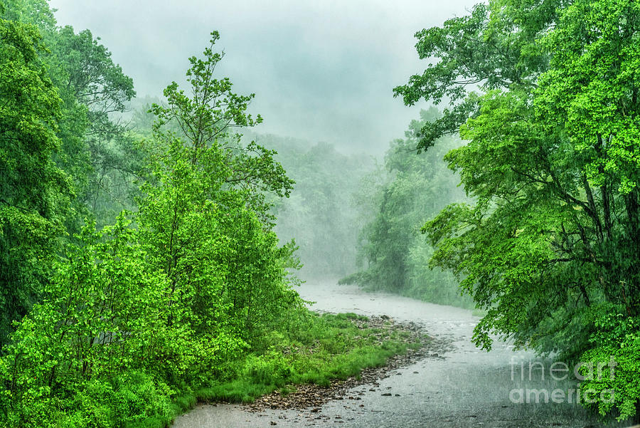 Williams River Rain Shower Photograph by Thomas R Fletcher