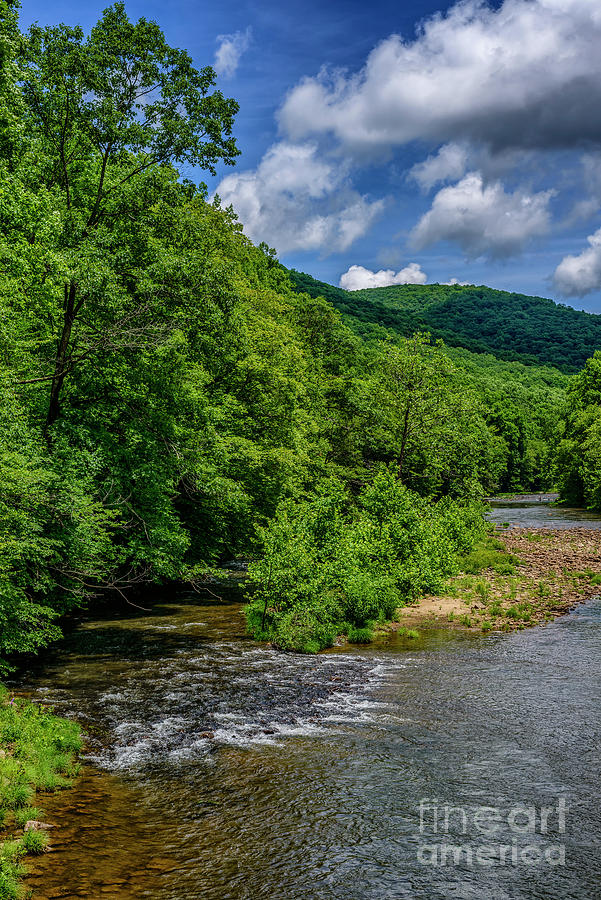 Williams River Summer Day Photograph by Thomas R Fletcher