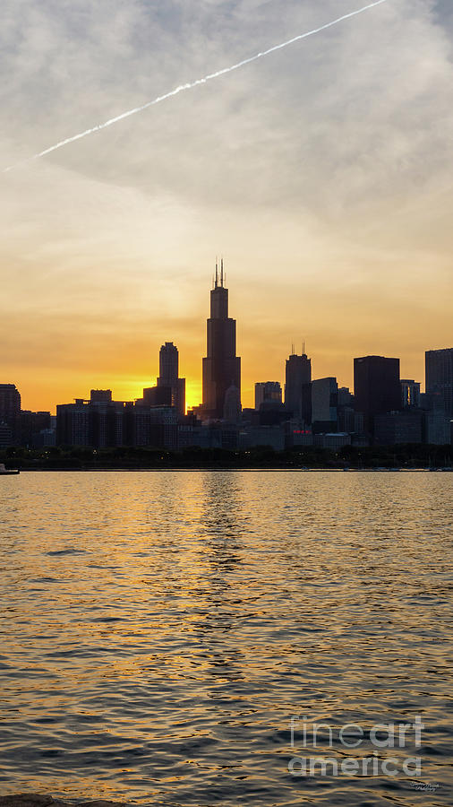 Willis Tower Vertical Gold Sunset Photograph by Jennifer White