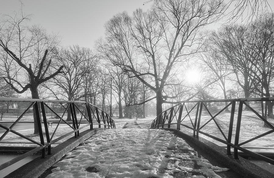 St. Louis Photograph - Willmore Park in snow by Scott Rackers