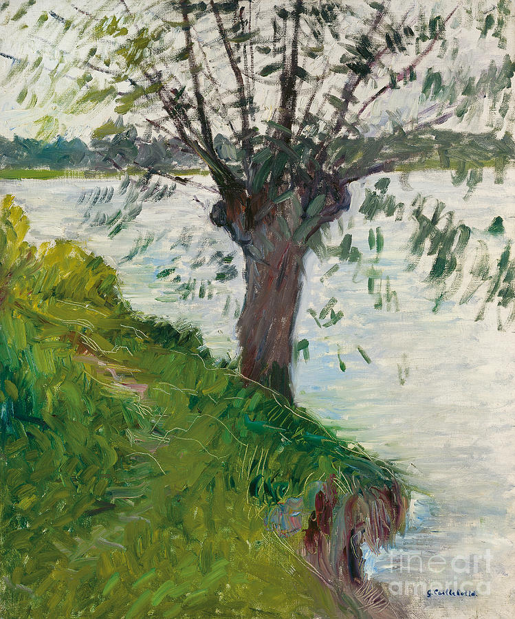 Willow by the River, Saule au bord de la riviere, 1891 Painting by Gustave Caillebotte