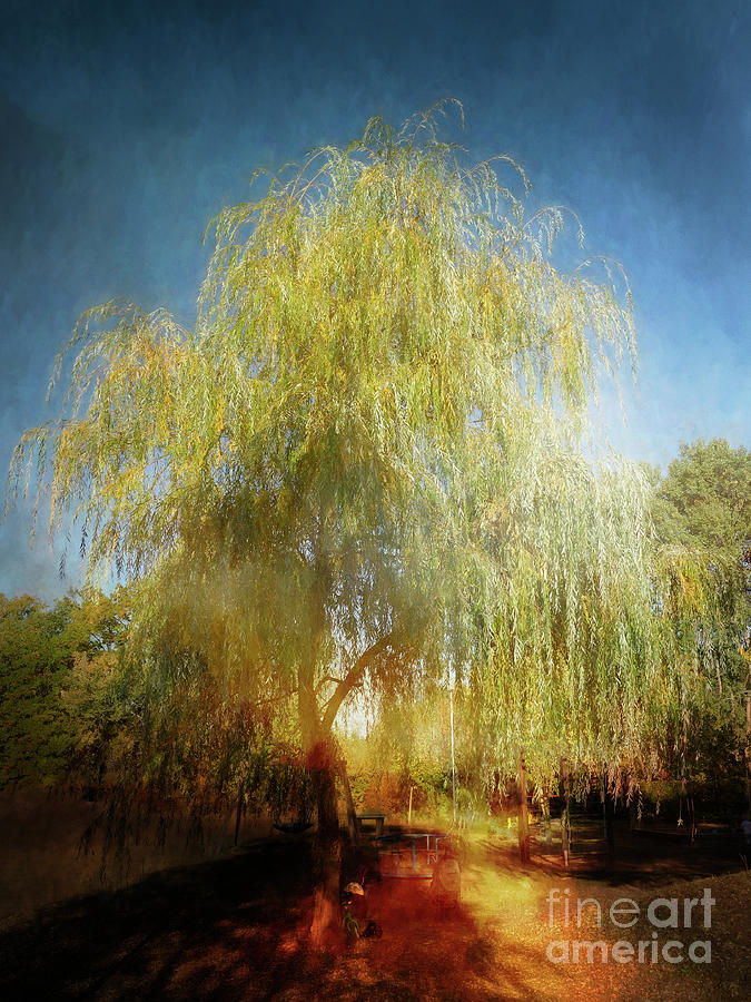 willow willow that would be the end of the sun
