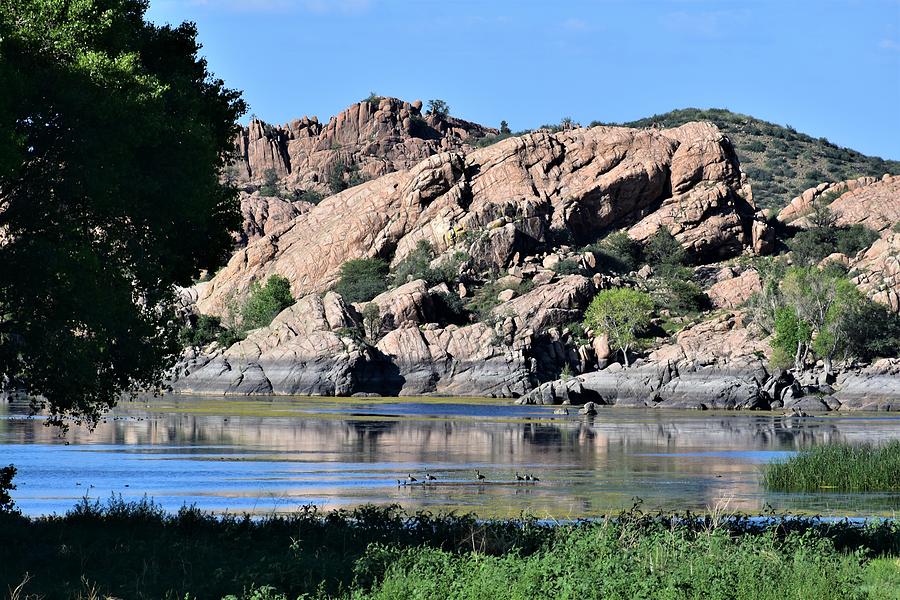 Willow Lake in Prescott Photograph by Vicky Sweeney Fine Art America