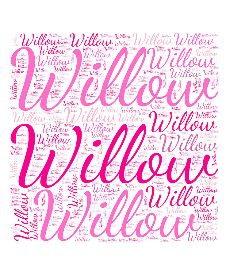 Willow, Names Without Frontiers. Digital Art by Vidddie Publyshd Fine