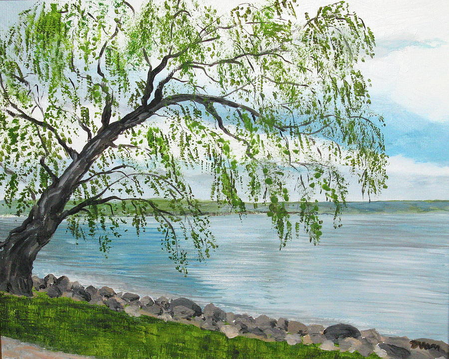 Willow on North Shore of Canandaigua Lake Painting by Denise Van Deroef