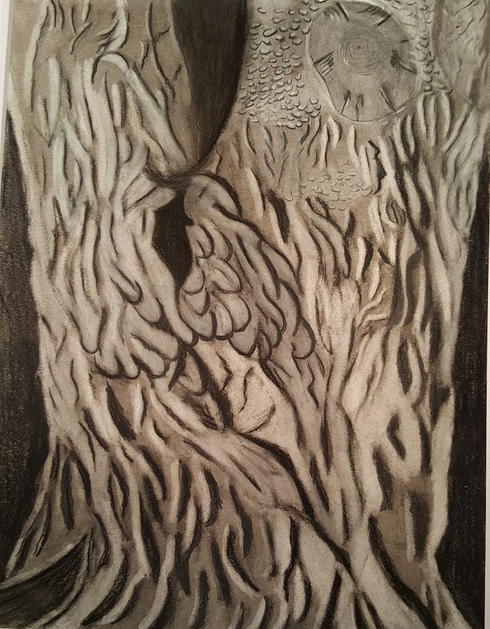 Willow tree Drawing by Ralph Root