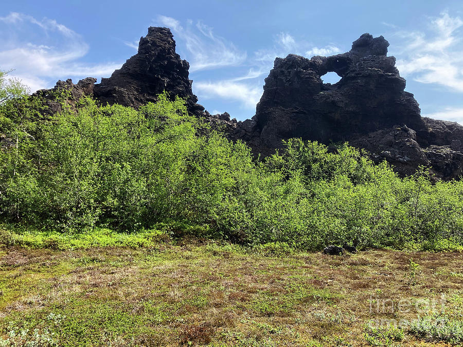 Willow trees and Volcanic Rocks at Dimmuborgir - Iceland Photograph by Phil Banks