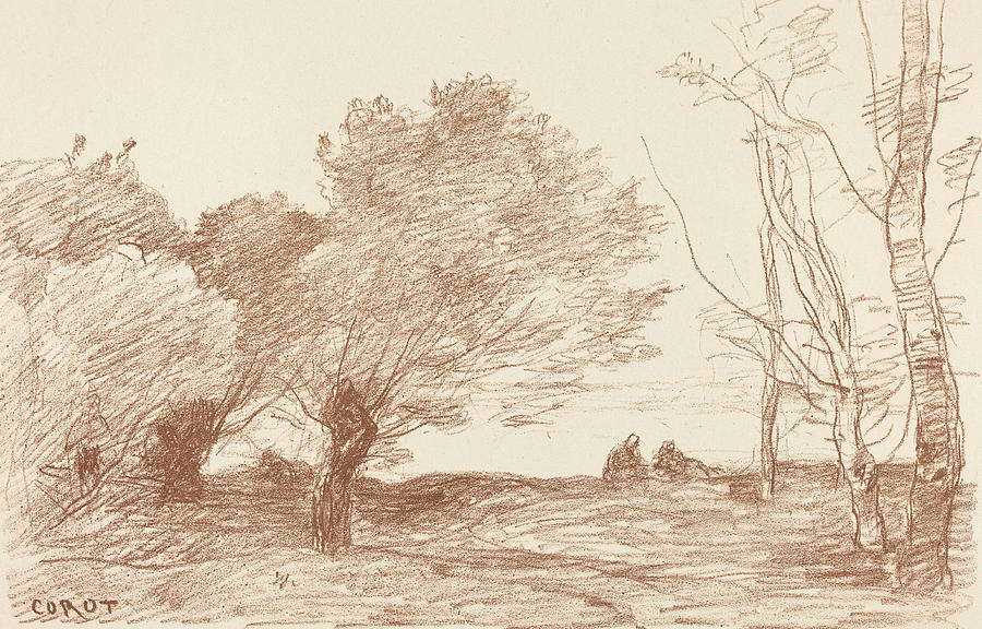 Willows and White Poplars Drawing by Jean Baptiste Camille Corot - Pixels