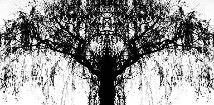 Willowy Weeping Willow Mixed Media by Will Borden