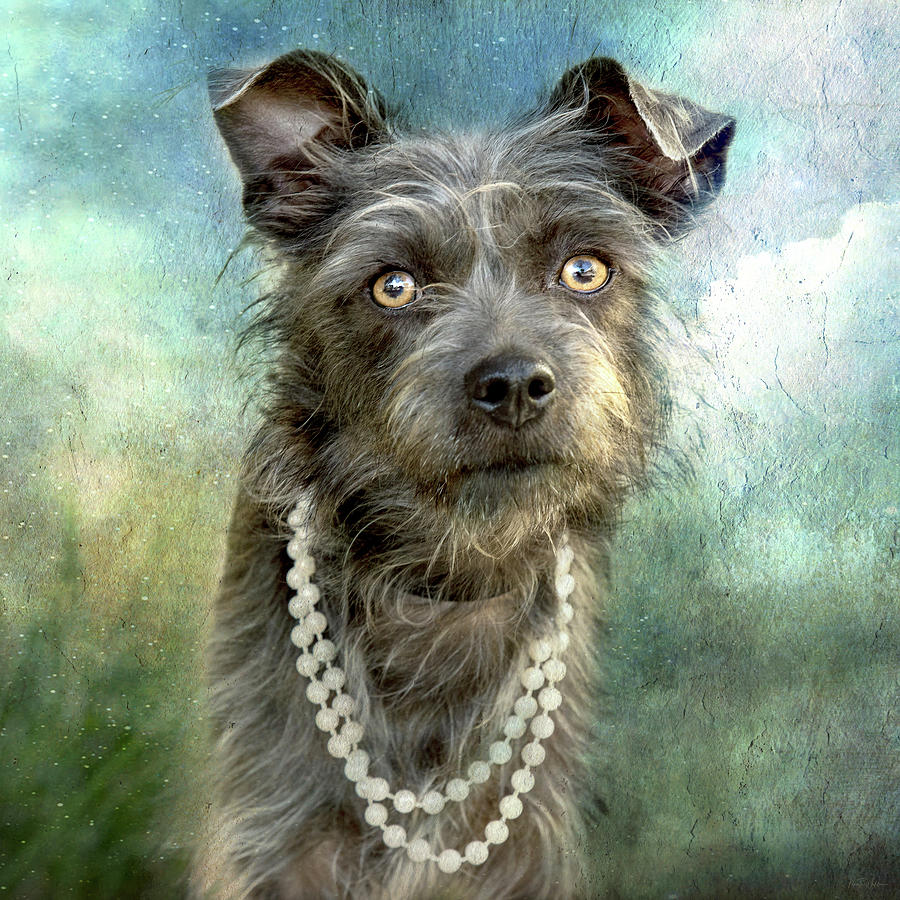 Dog Portrait Digital Art - Wilma by Nicole Wilde