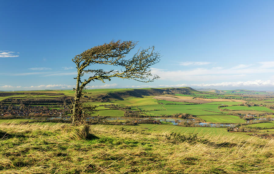 Wilmington Hill South Downs Photograph by Peter Marjoram - Pixels