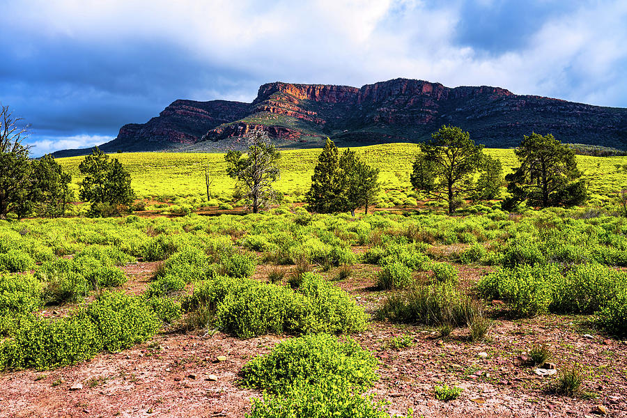 Wilpena Pound Photograph By Jan Fijolek Fine Art America   Wilpena Pound Jan Fijolek 