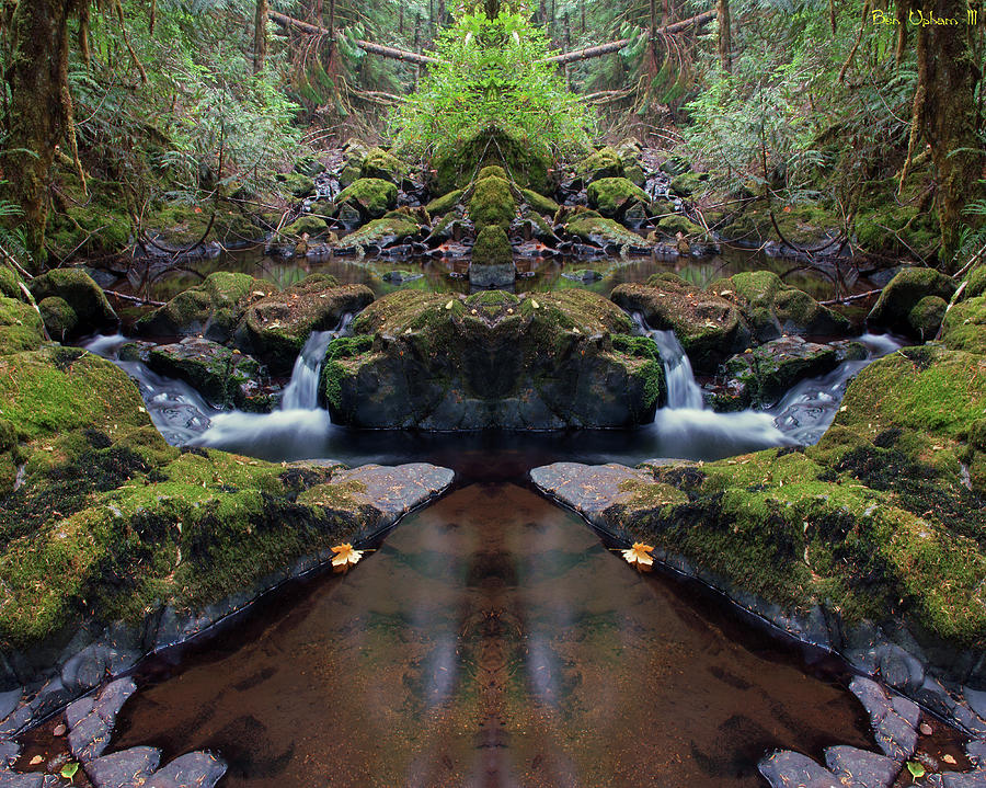 Wilson Creek Paradise Mirror #1 Photograph by Ben Upham III